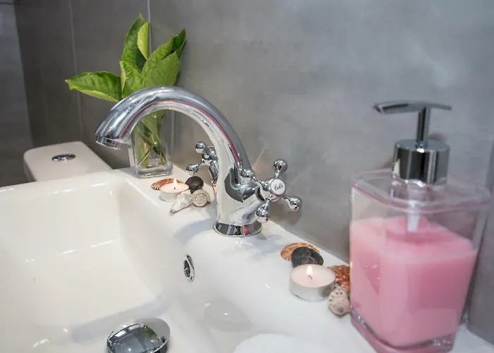 The Romantic House *