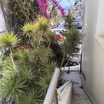 The Romantic House